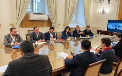 Acera se reunió con ministra del Interior para abordar la seguridad en instalaciones eléctricas